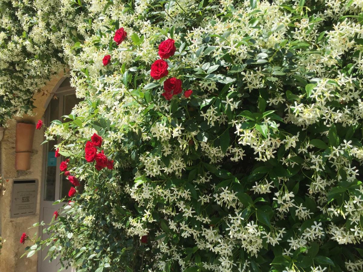 Hotel La Cordiere Lourmarin Exteriér fotografie